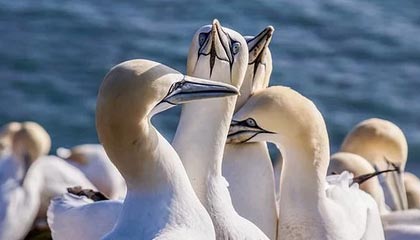 2025“Z世代”第二届延边东北亚国际青少年足球邀请赛在龙井市开赛